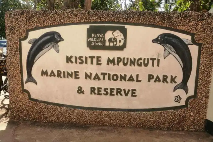 Kisite Marine Park dolphins