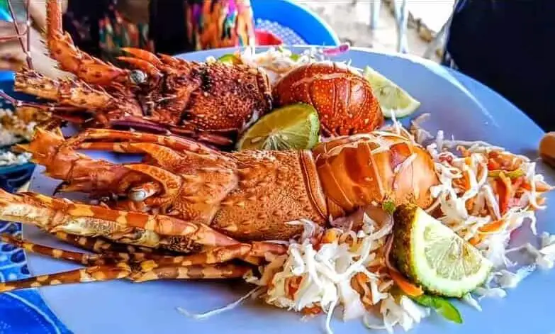 freshly prepared lobster