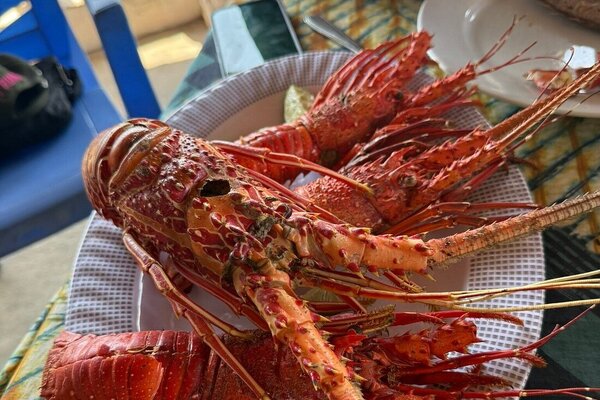Enjoy the taste of seafood on your Wasini & Kisite tour