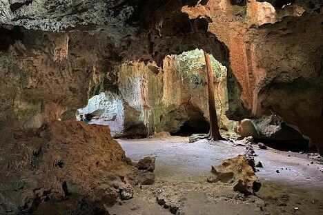Explore Shimoni Caves, a historical landmark from the slave trade era Shimoni Caves – historical site of the East African slave trade