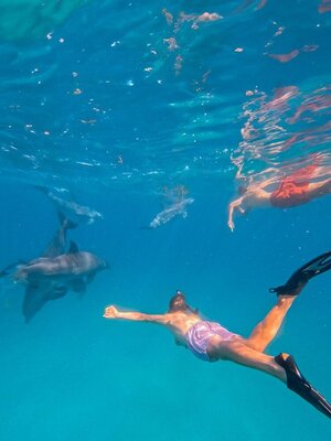 Snorkeling at Kisite Marine Park Wasini Island tour