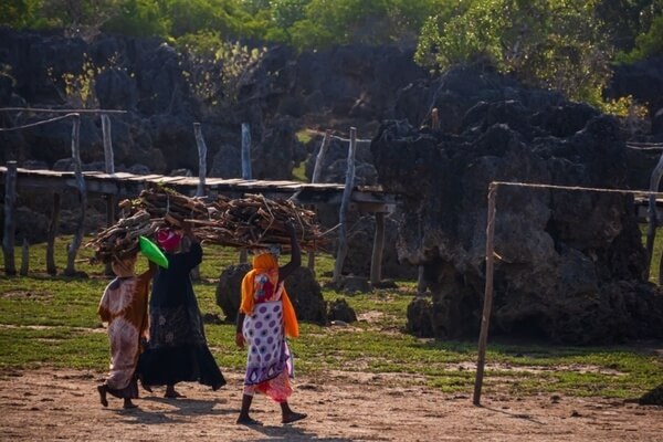 Cultural experience with Swahili traditions at Wasini Island