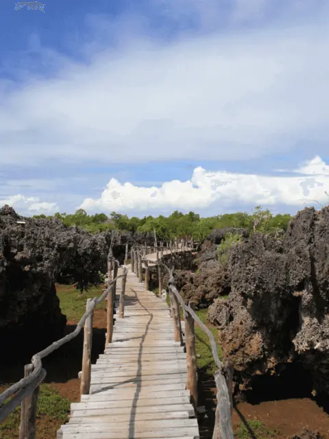 Scenic view of Wasini Island coral formations with a wooden walking bridge
